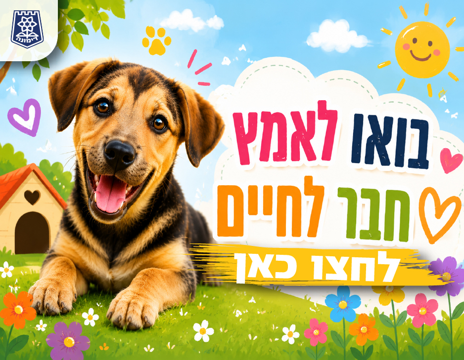 בואו לאמץ